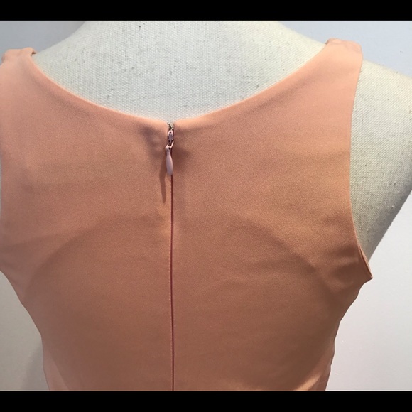 BALENCIAGA PARIS NWT A LINE DRESS NUDE PEACH SZ 6 - Picture 8 of 9